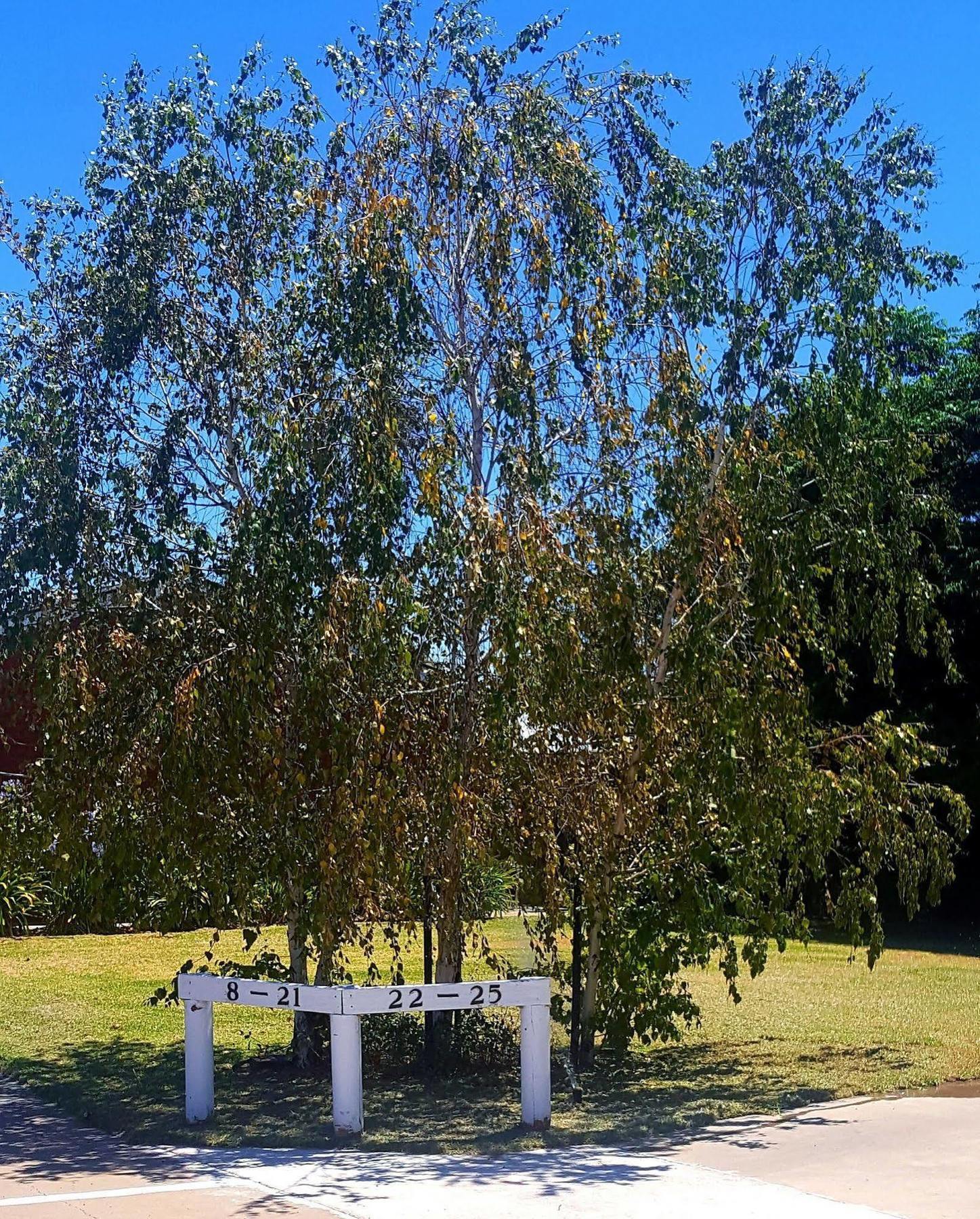 Centrepoint Motel דניליקווין מראה חיצוני תמונה